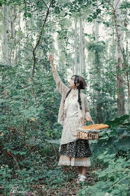 叶辰萧初然最新章节