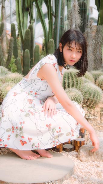 长月烬明电视剧免费观看完整版