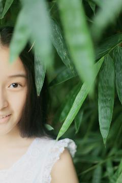 紫川第二季在线观看免费完整版